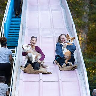 Two students going down a slide with dogs in their laps. 