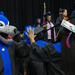 在线博彩 student high-fiving Wolfie at graduation. 
